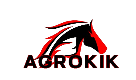 Your Logo